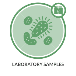laboratoy-samples1